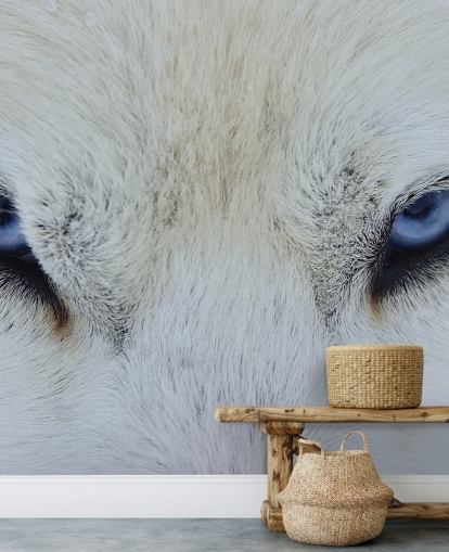 Blue Wolf Eyes Wallpaper