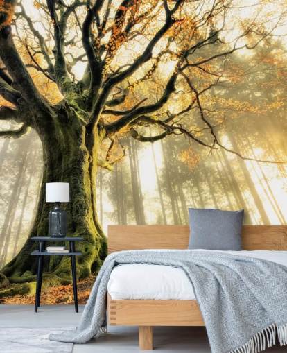 Tree Giant Wall Mural Wallpaper