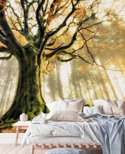 Carta da parati murale con albero gigante