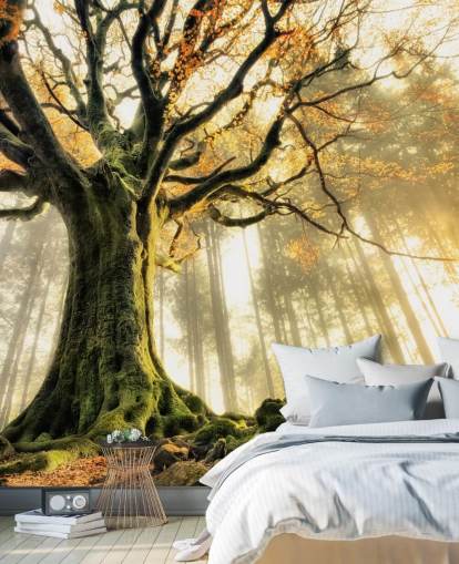 Tree Giant seinämaalaus Taustakuva