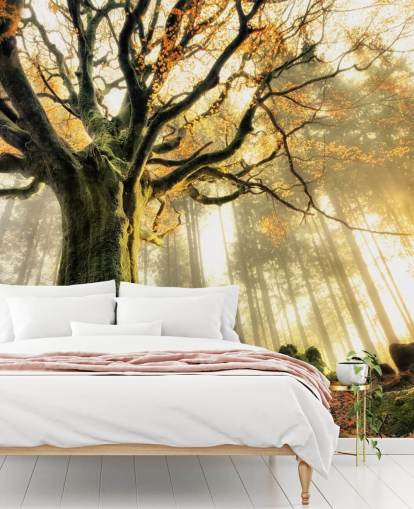 Tree Giant Wall Mural Wallpaper