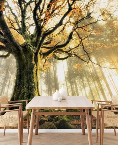 Papel pintado Árbol gigante