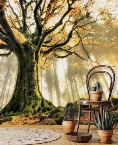 Papel pintado Árbol gigante