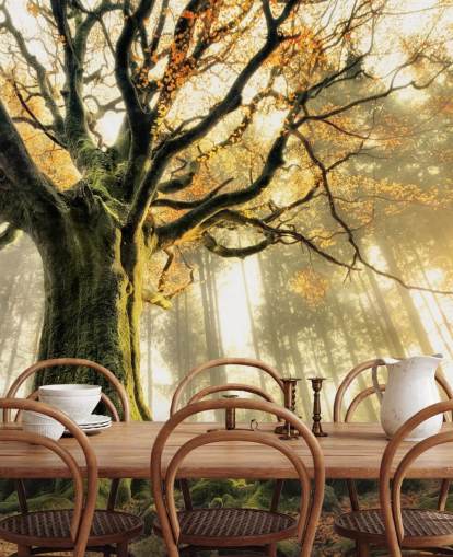 Papel pintado Árbol gigante