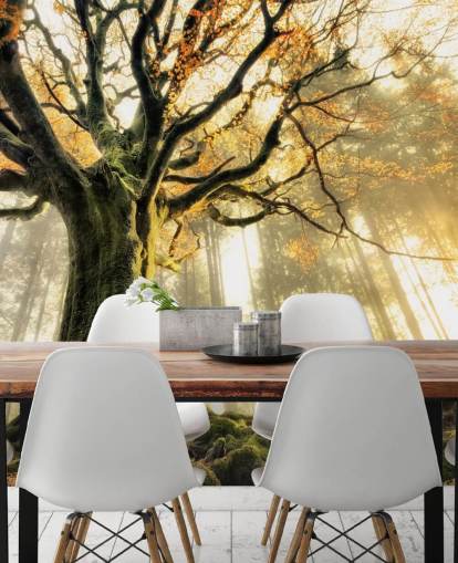 Tree Giant Wall Mural Wallpaper