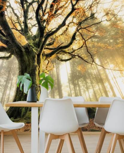 Tree Giant Wall Mural Wallpaper Tree Giant Wall Mural Wallpaper