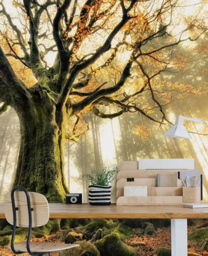 Tree Giant Wall Mural Wallpaper