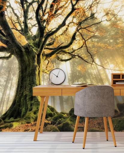 Papel pintado Árbol gigante