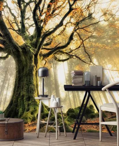 Tree Giant Wall Mural Wallpaper