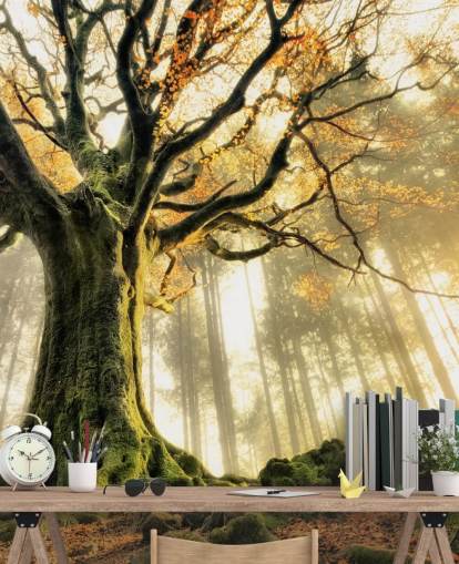 Tree Giant Wall Mural Wallpaper