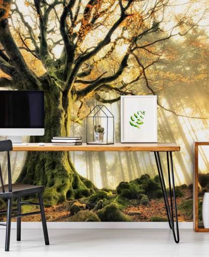 Tree Giant Wall Mural Wallpaper
