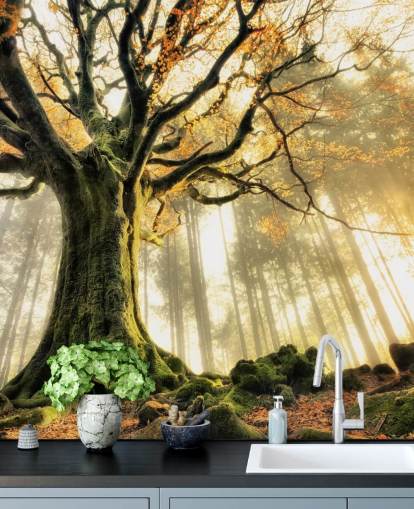 Carta da parati murale con albero gigante