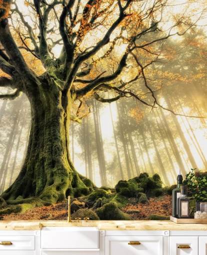 Papel pintado Árbol gigante