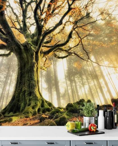 Tree Giant Wall Mural Wallpaper