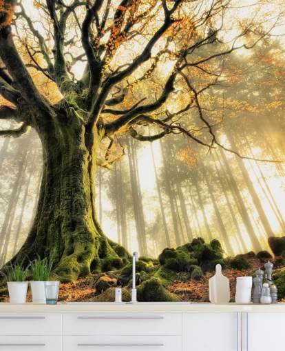 Carta da parati murale con albero gigante Carta da parati murale con albero gigante