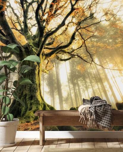 Papel pintado Árbol gigante