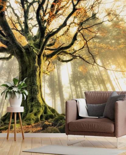 Tree Giant Wall Mural Wallpaper