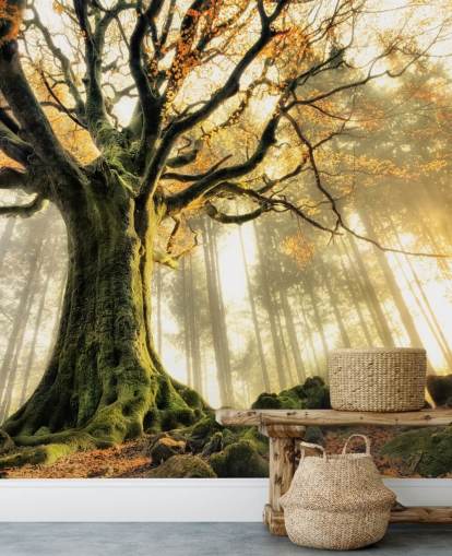 Tree Giant Muurschildering Behang