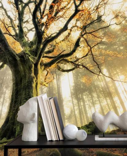 Tree Giant Wall Mural Wallpaper Tree Giant Wall Mural Wallpaper