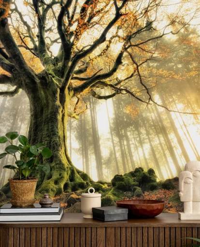 Papel pintado Árbol gigante