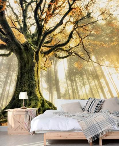Tree Giant Wall Mural Wallpaper