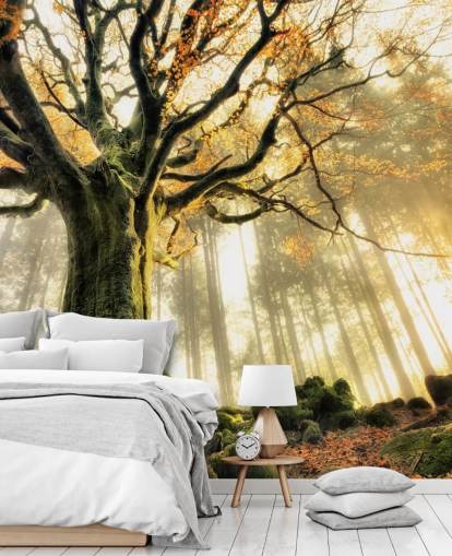 Papel pintado Árbol gigante Papel pintado Árbol gigante