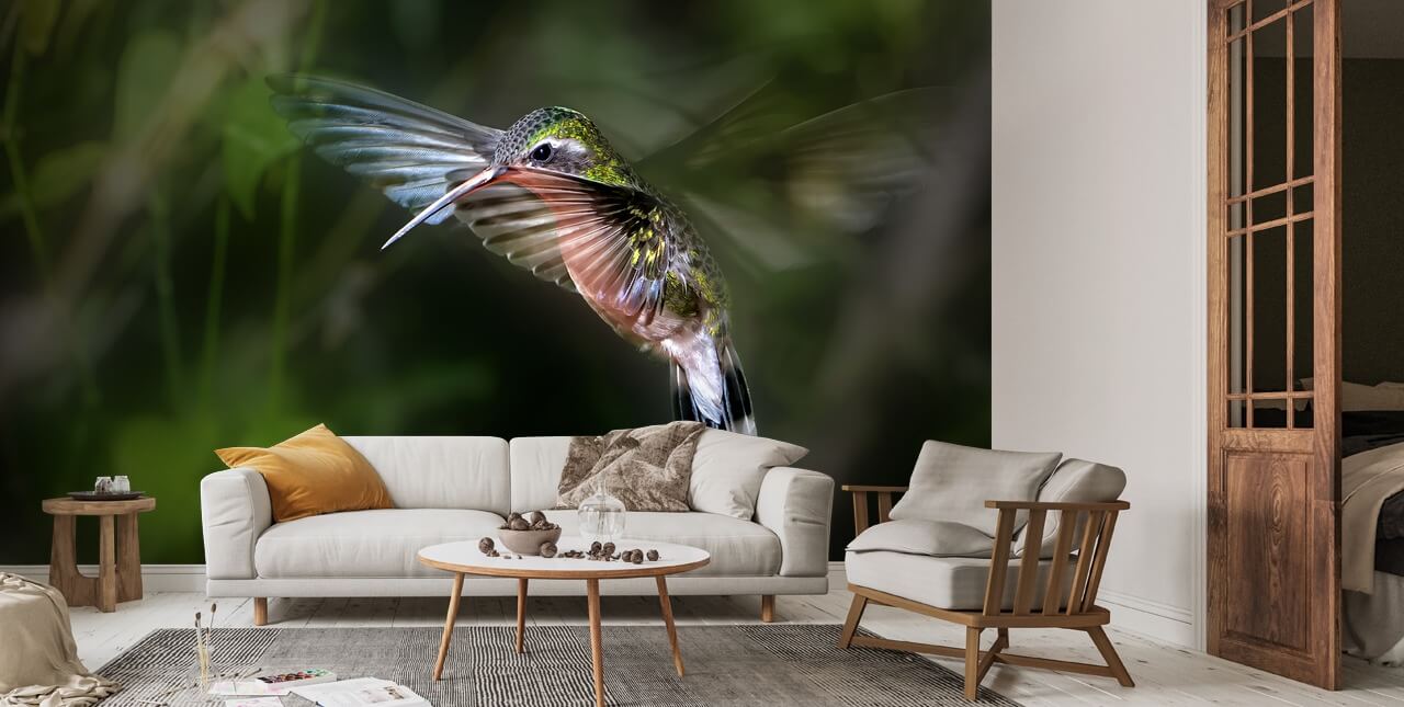 Hummingbird Wall Mural Wallsauce US
