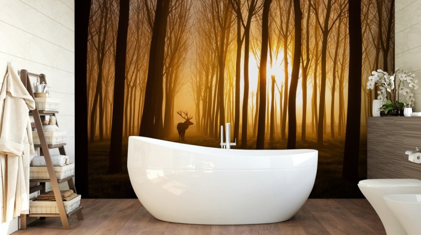 papier peint mural de forêt sombre personnalisable appelé Forest Stag par 1x pour les chambres ou les cuisines