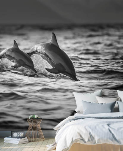 Black and White Dolphin Wallpaper