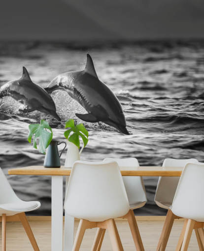Svartvitt Dolphin Bakgrund