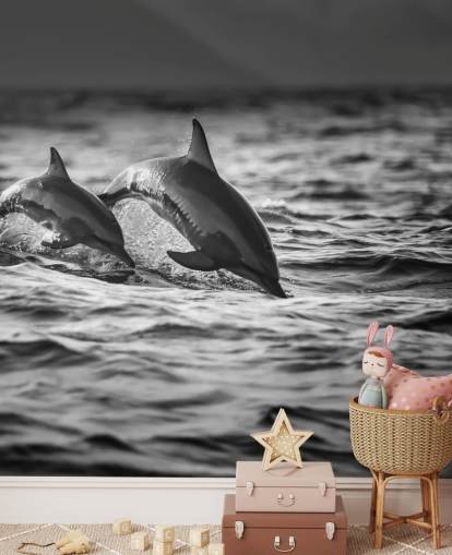 Black and White Dolphin Wallpaper