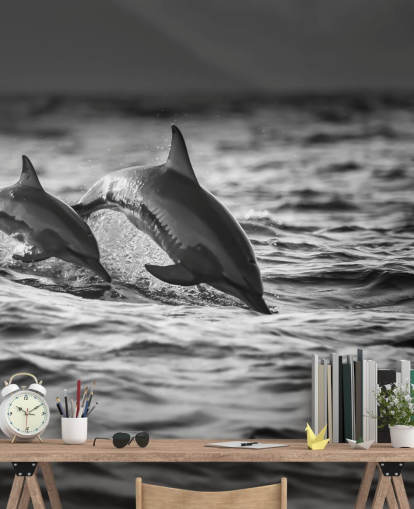 Black and White Dolphin Wallpaper
