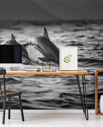 Black and White Dolphin Wallpaper
