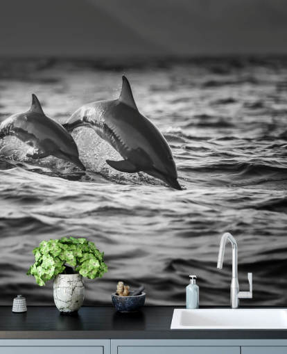Schwarz-Weiß-Delfin-Tapete