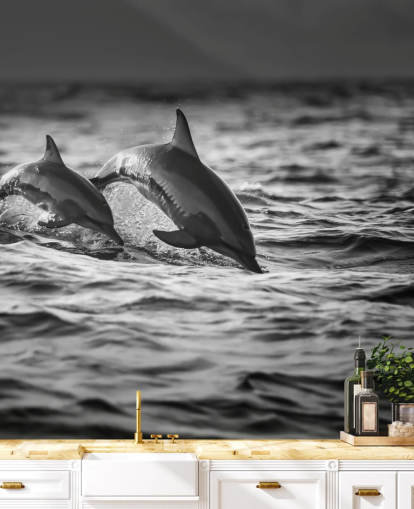 Sort og hvid Dolphin Wallpaper