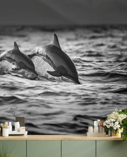 Black and White Dolphin Wallpaper