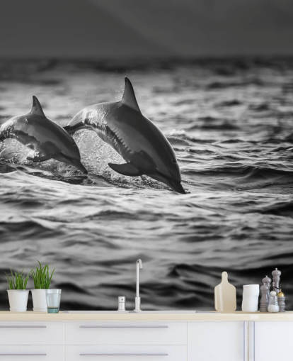 Black and White Dolphin Wallpaper