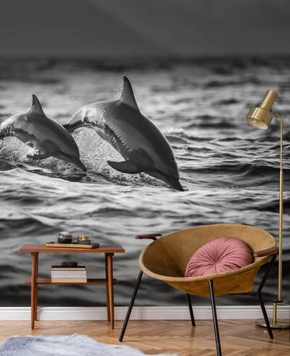 Black and White Dolphin Wallpaper