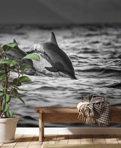 Sort og hvid Dolphin Wallpaper