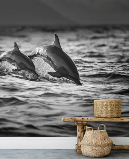 Svart og hvit Dolphin Bakgrunn