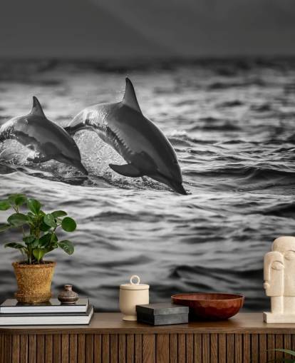 Sort og hvid Dolphin Wallpaper