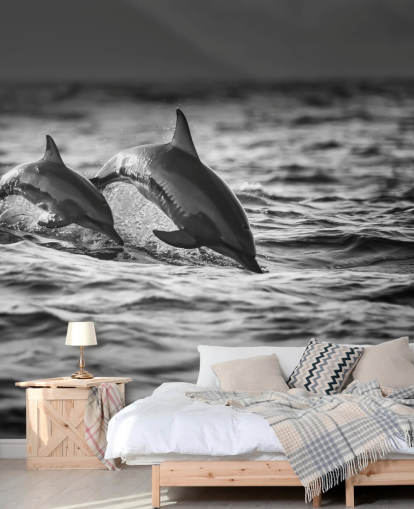 Black and White Dolphin Wallpaper Black and White Dolphin Wallpaper