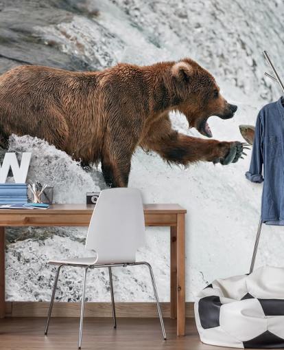 bear catching fish wallpaper