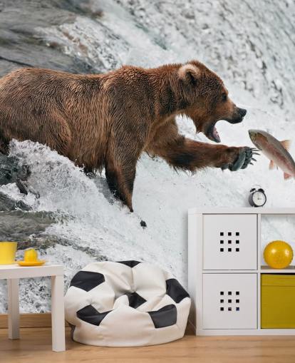 Bär fangen Fische Tapete Bär fangen Fische Tapete