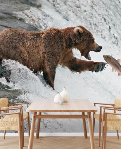 bear catching fish wallpaper