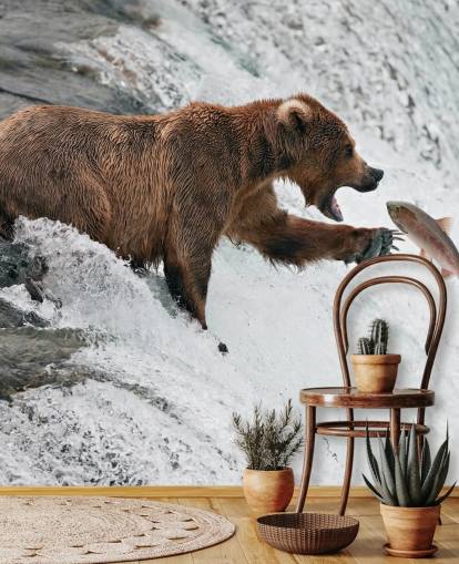 fondo de pantalla bear catching fish