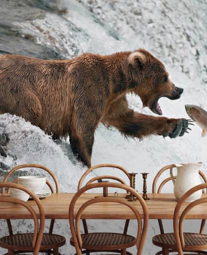 fondo de pantalla bear catching fish