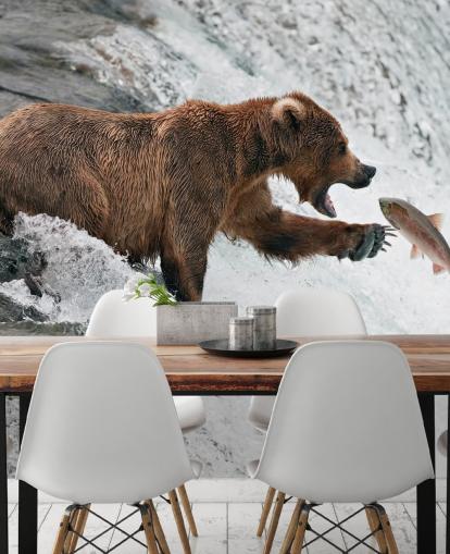 bear catching fish wallpaper