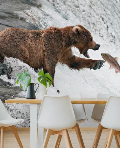 bear catching fish wallpaper bear catching fish wallpaper