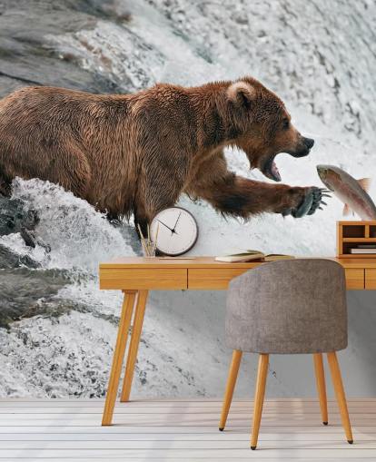 fondo de pantalla bear catching fish